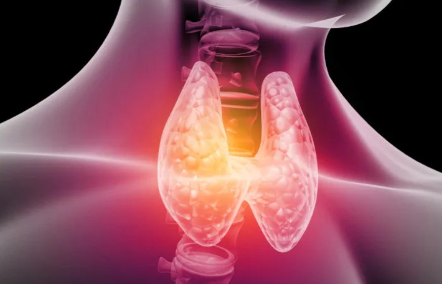 tireoide-alimentacao-e-intestino