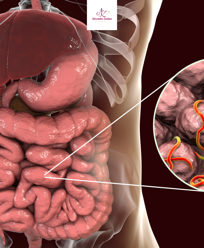 Intestino e Imunidade O Papel Fundamental da Microbiota na Saúde