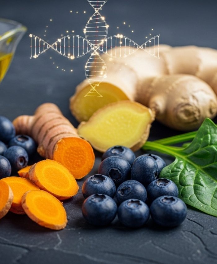 Proteínas na Dieta Vegetariana: Fontes Essenciais e mitos