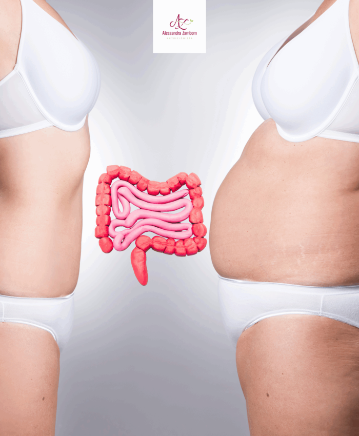 Intestino e emagrecimento