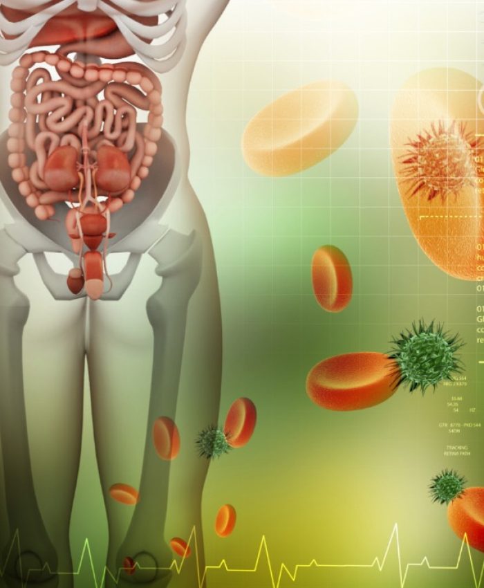 6 Sinais de que você pode estar com deficiência de enzimas digestivas