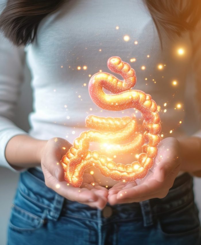 Órgãos e sistemas afetados pelo desequilíbrio intestinal